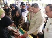 Pj Wali Kota Lubuk Linggau H. Koimudin Melakukan Kunjungan dan silaturahmi Ke Posyandu