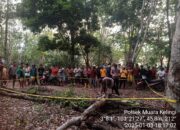 Satreskrim Polres Musi Rawas, Inafis dan Polsek Muara Kelingi Sigap Olah TKP Penemuan Korban Meninggal Dunia di Kebun Desa Mangan Jaya